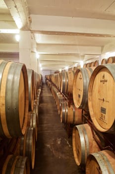 Wine cellar