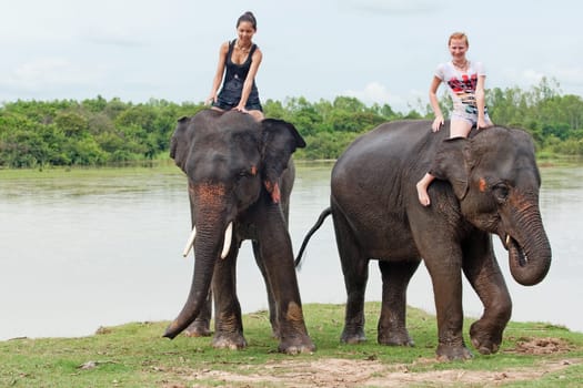 Elephant Riding