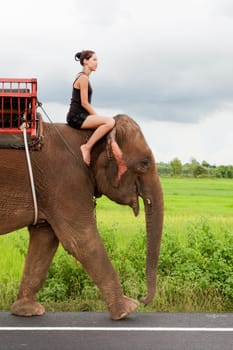 Elephant Riding