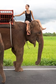 Elephant Riding