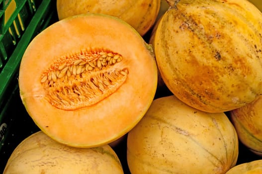 Pumpkin