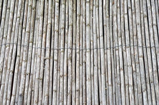 Bamboo fence