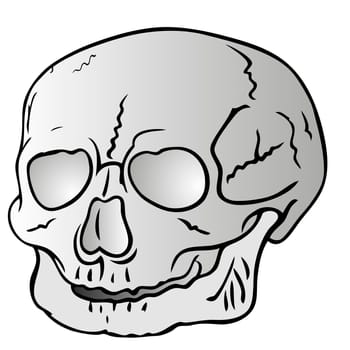 bizarre human skull