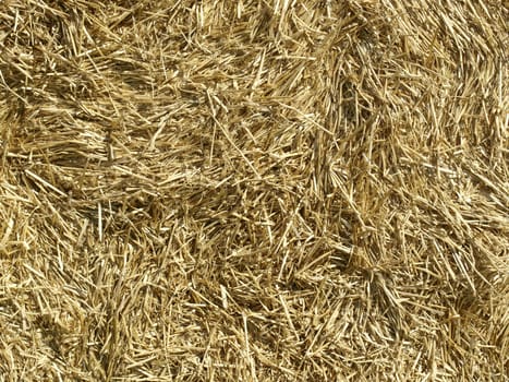 Straw bale
