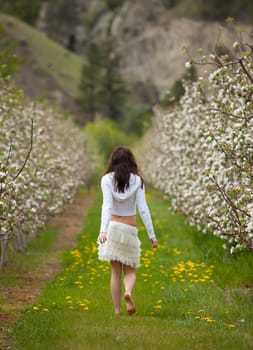 Woman Walking in Orchard