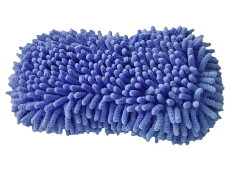 Sponge isolated
