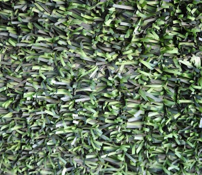 Artificial leaves