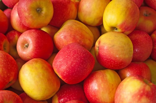 Apples without (New York)