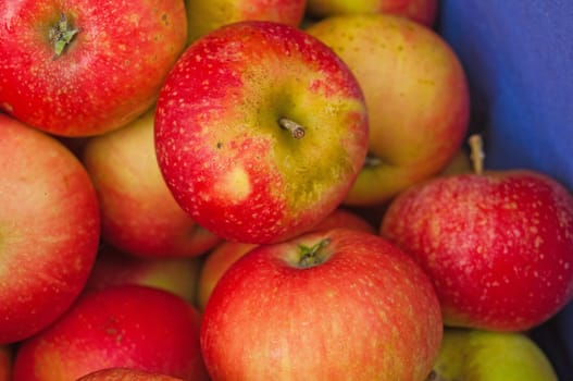 Apples without (New York)