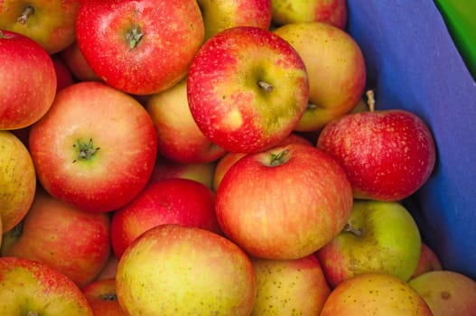 Apples without (New York)