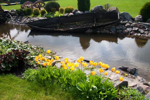 beautiful tulips in garden