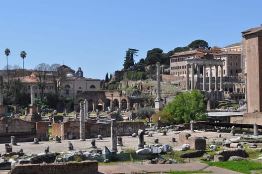 Roman Forum, Rome