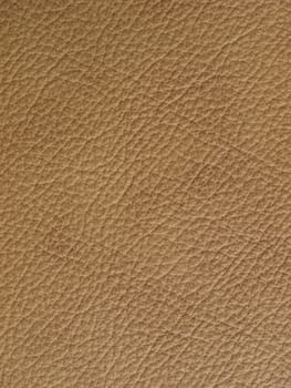 Leather sample