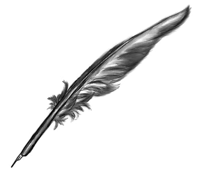 quill