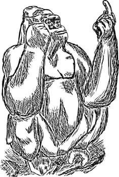 gorilla