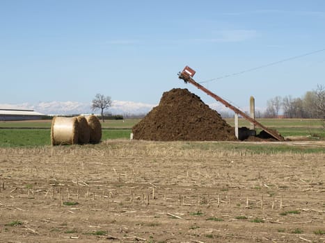 Manure