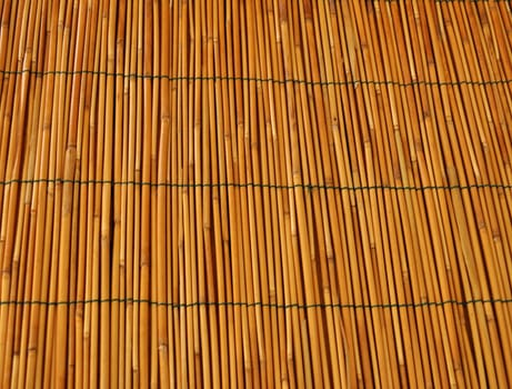 Bamboo background