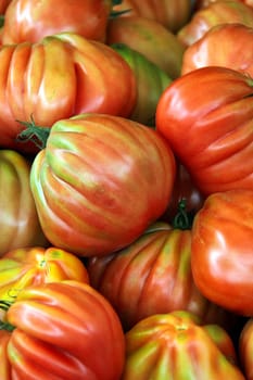 Oxheart tomato,cœur de bœuf,Bulls Heart-tomato