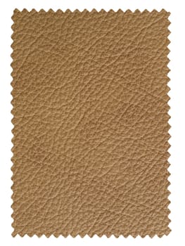 Leather sample