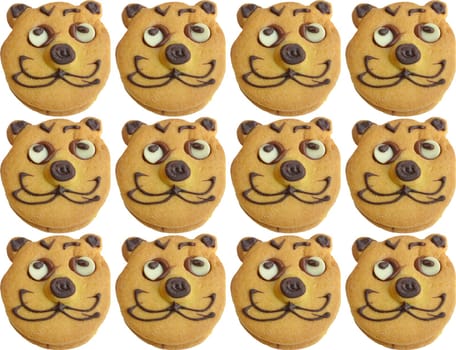 Range of homemade baked cookies with cat face isolated on white