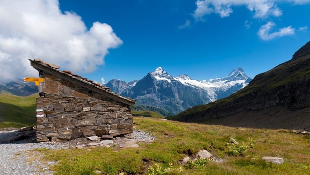 Refuge