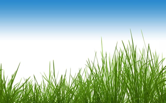 Grass