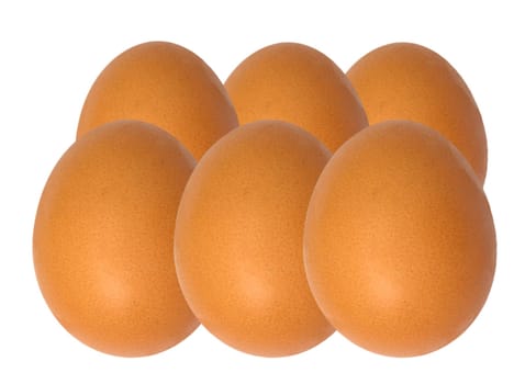 Egg