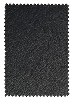 Leather sample