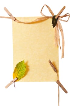 Stationery Leash Leaf Autumn
