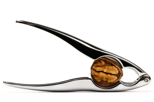 Broken Walnut in Nutcracker
