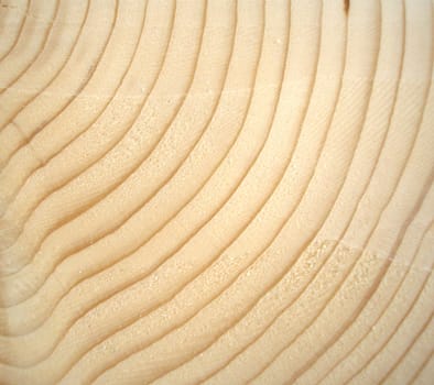 Wood rings