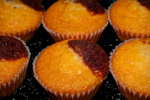 Homemade Muffins