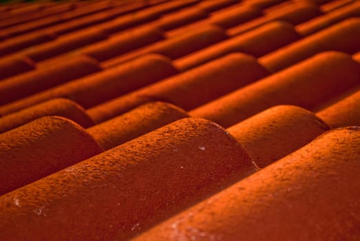 Red roof tiles