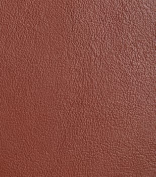 Leather sample