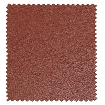 Leather sample