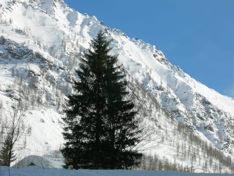 Mountain