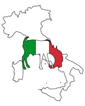 Italian billy goat
