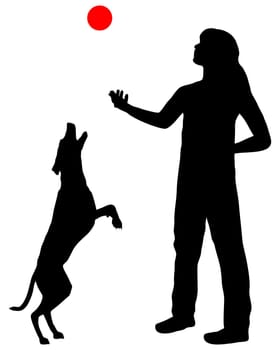 Dog training