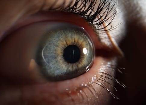 Close-up of green females eye, detailed picture of human being vision, macro shot of human eye, mascara makeup on eyelashes. Oculist, ophthalmology concept