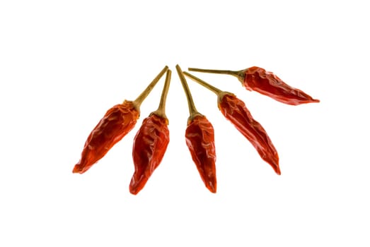 Chilli