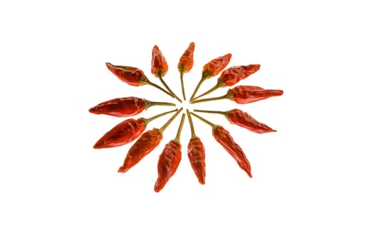 Chilli