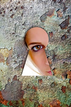 Keyhole
