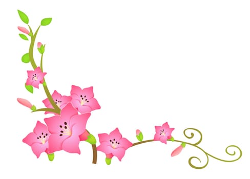 pink flower