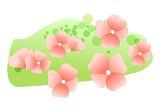 pink wild flower on the lawn