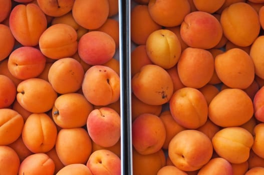 Apricots