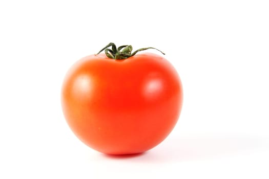 Tomato,Tomato