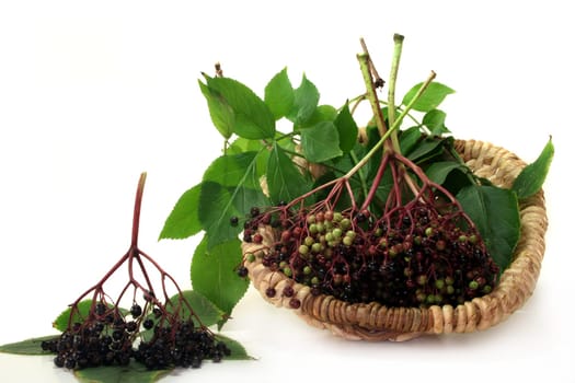 Elderberries