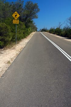 slow down