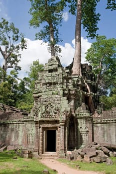 Ta Prohm in Angkor