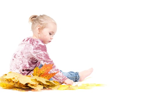 Toddler with maple leaves